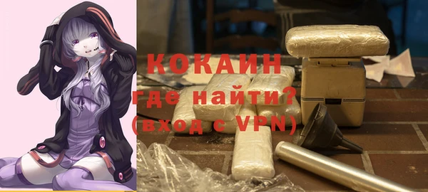 сатива Горняк
