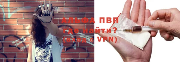 сатива Горняк