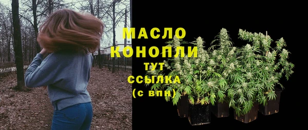 сатива Горняк