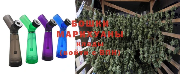 сатива Горняк