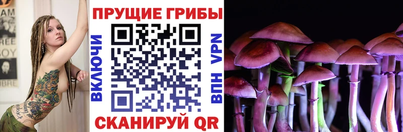 Псилоцибиновые грибы Psilocybe  Купить  Инсар 